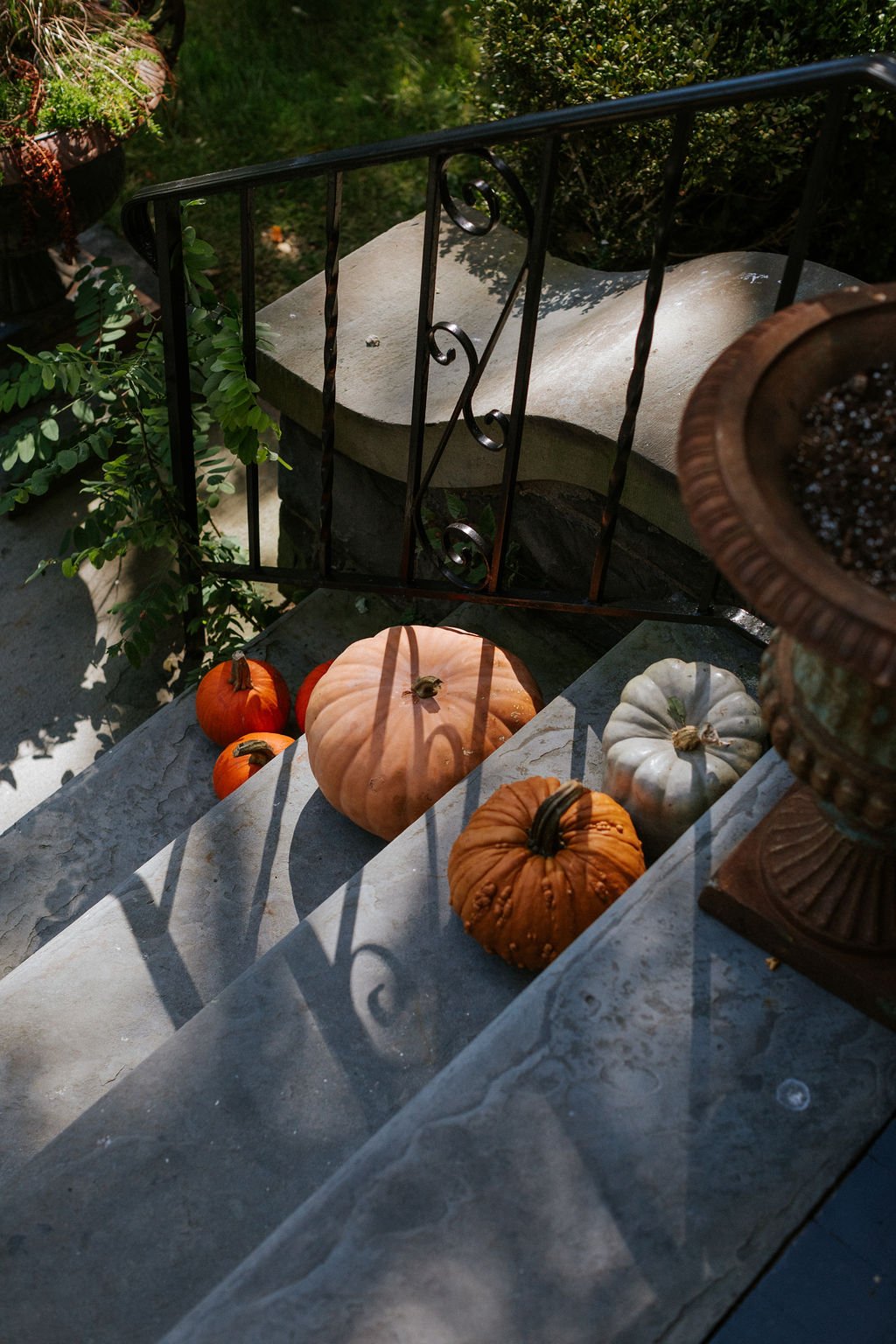 hutton_brickyards_fall-26.jpg