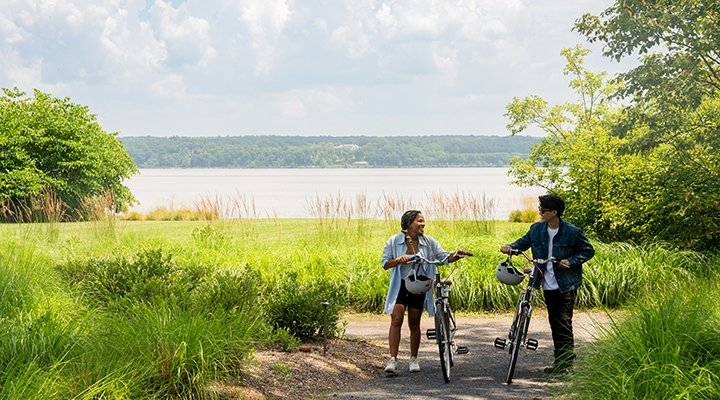 Biking for teambuilding.png