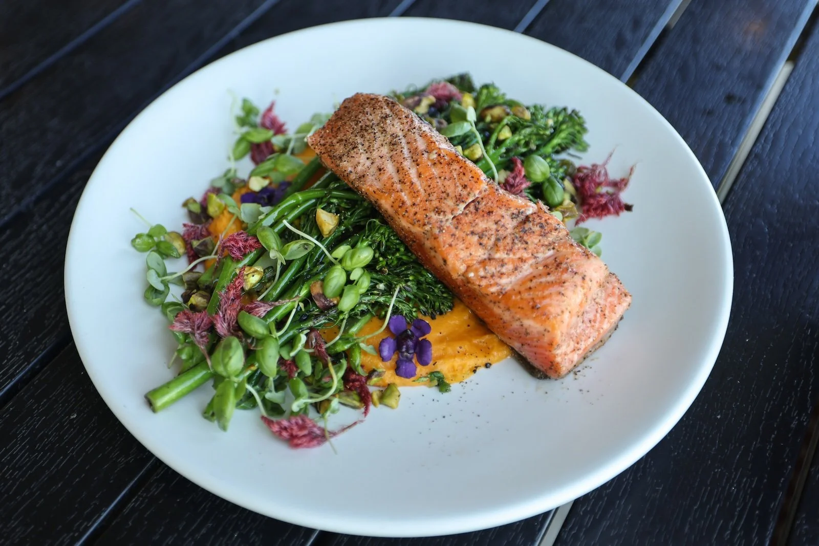 Salmon at HUTTON_HEALTH-5.jpeg