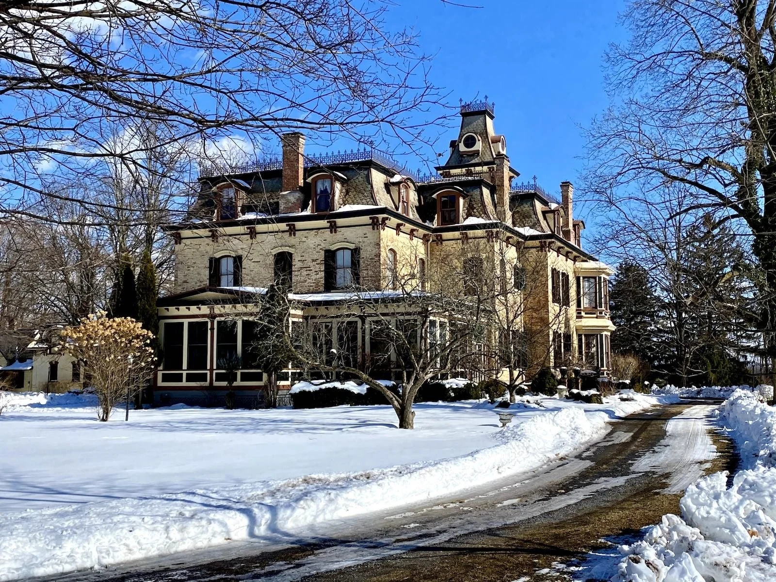 Edgewood Winter.jpeg