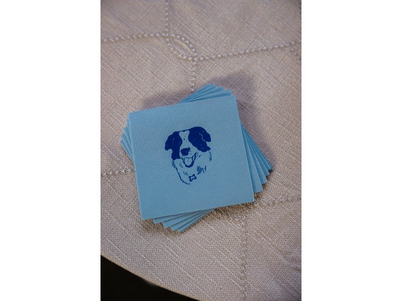 FIN-Dog napkin_Matt_Wedding_Sneak_Peek_223.jpg