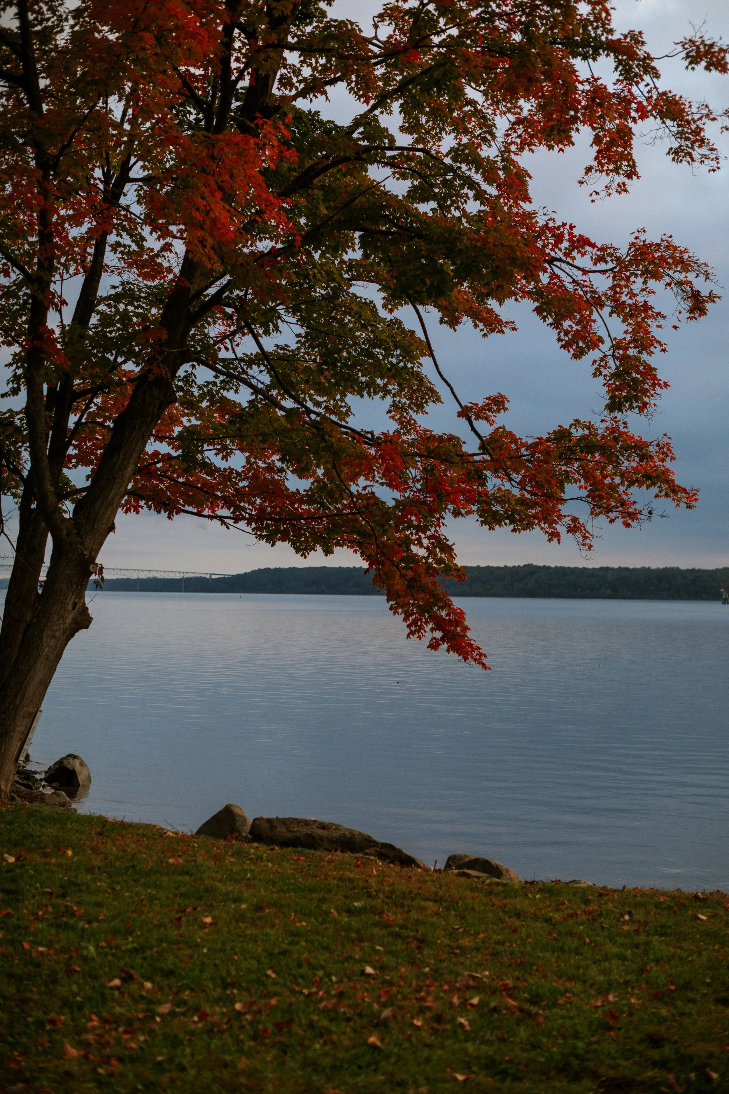hutton_brickyards_fall-5.jpg