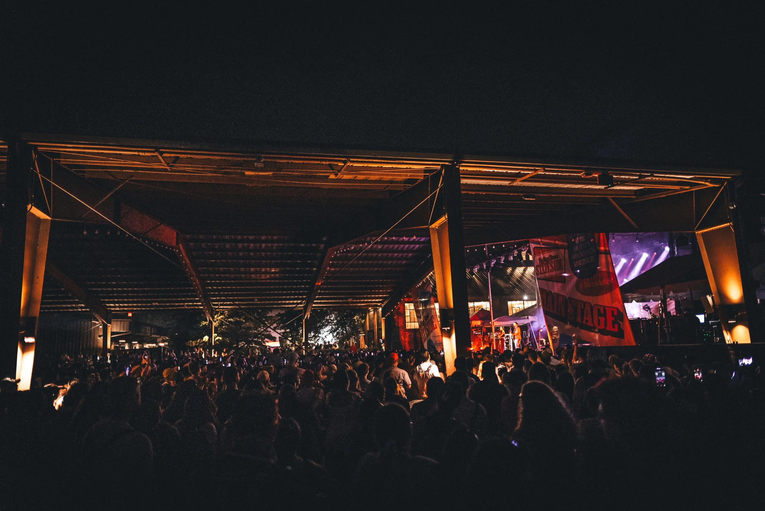 festival 8.jpg