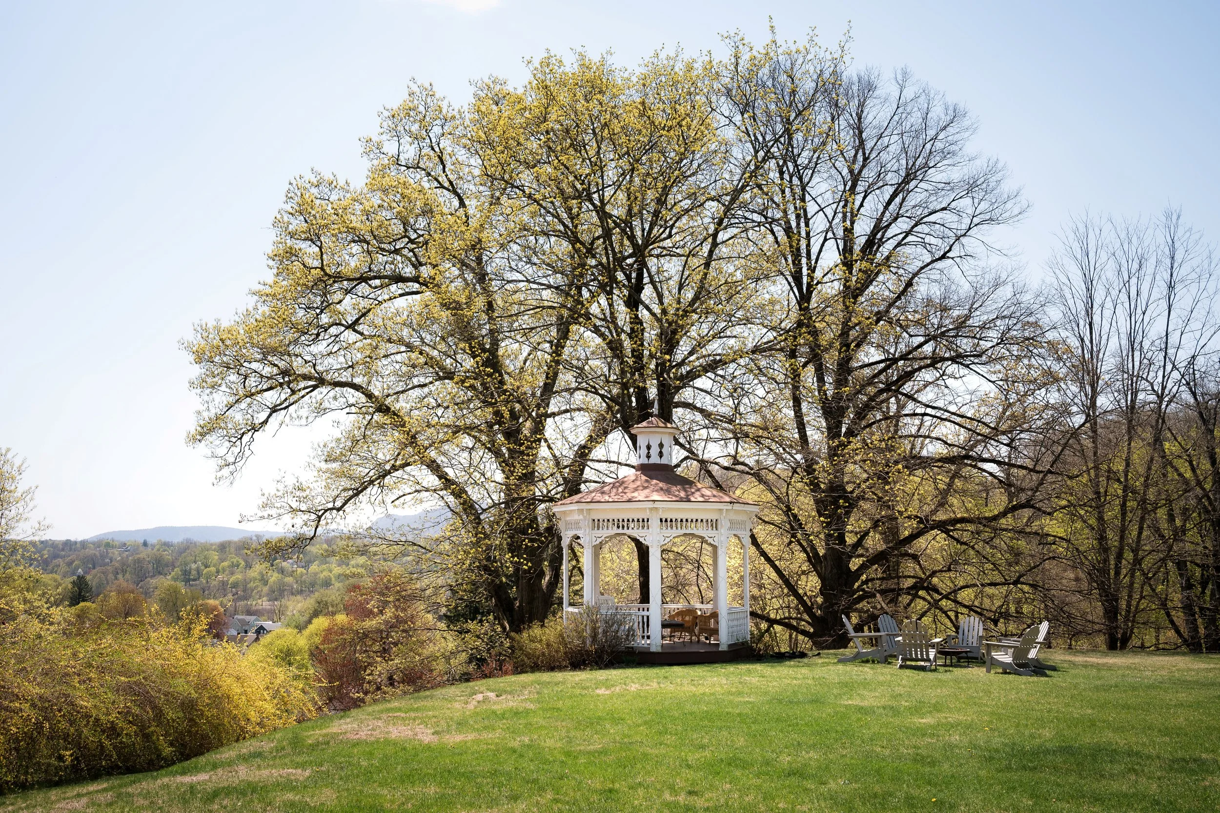 SOTWI-HV-04.24.25-BryanWeberPhoto-13 web copy.jpg