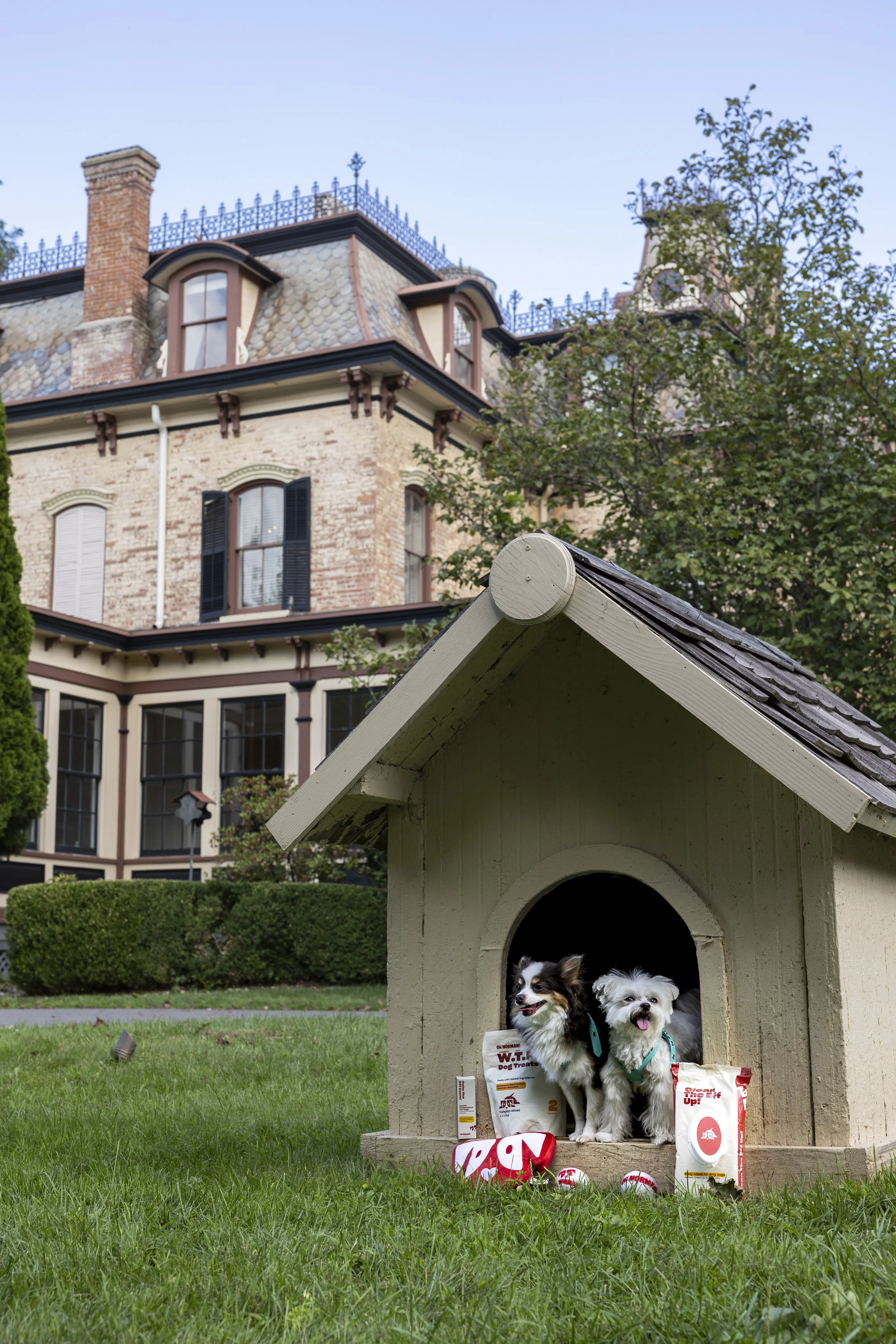 Two dogs sitting inside a dog house with dog treats and toys outside in a grassy yard, with a large house in the background.