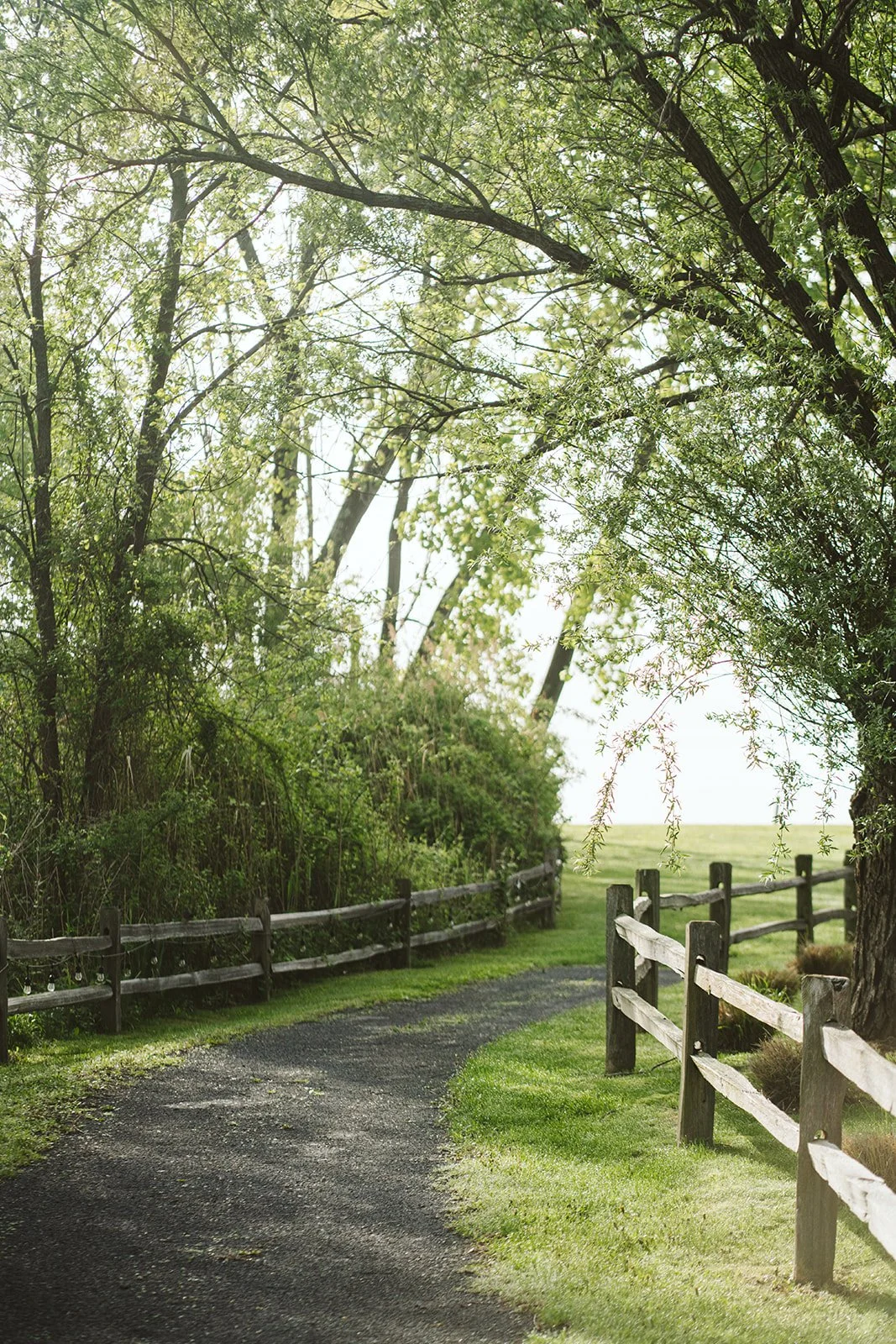 A winding gravel pathway that leads to the spa garden, bordered by wooden fences and lush green grass, leading through a canopy of leafy trees on a bright, sunny day.