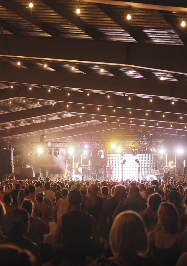 marley concert screenshot 2.png