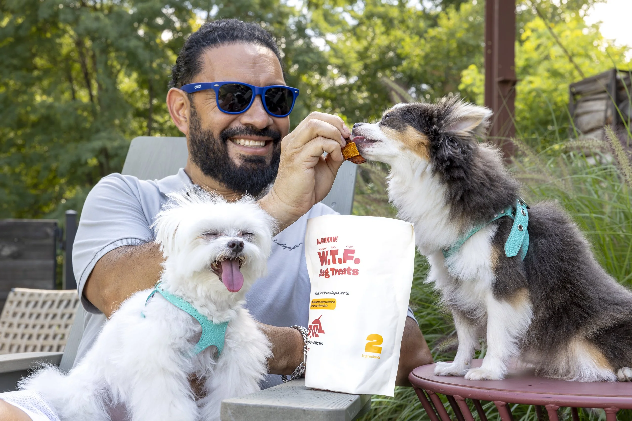 A man with sunglasses smiling while feeding a dog a treat outdoors surrounded by greenery, with another small dog on his lap and a large fluffy dog in front of him.