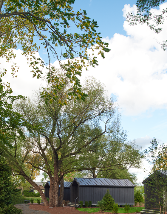HH_Spring_Jane-Beiles-Hutton-Brick-Yards-Black-cabins-vertical-9-WEB.png