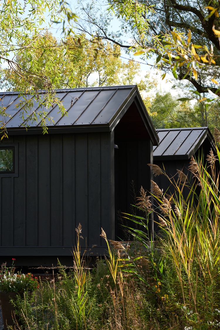 Black cabin with metal roof surrounded by tall grasses and plants, with trees and blue sky overhead.