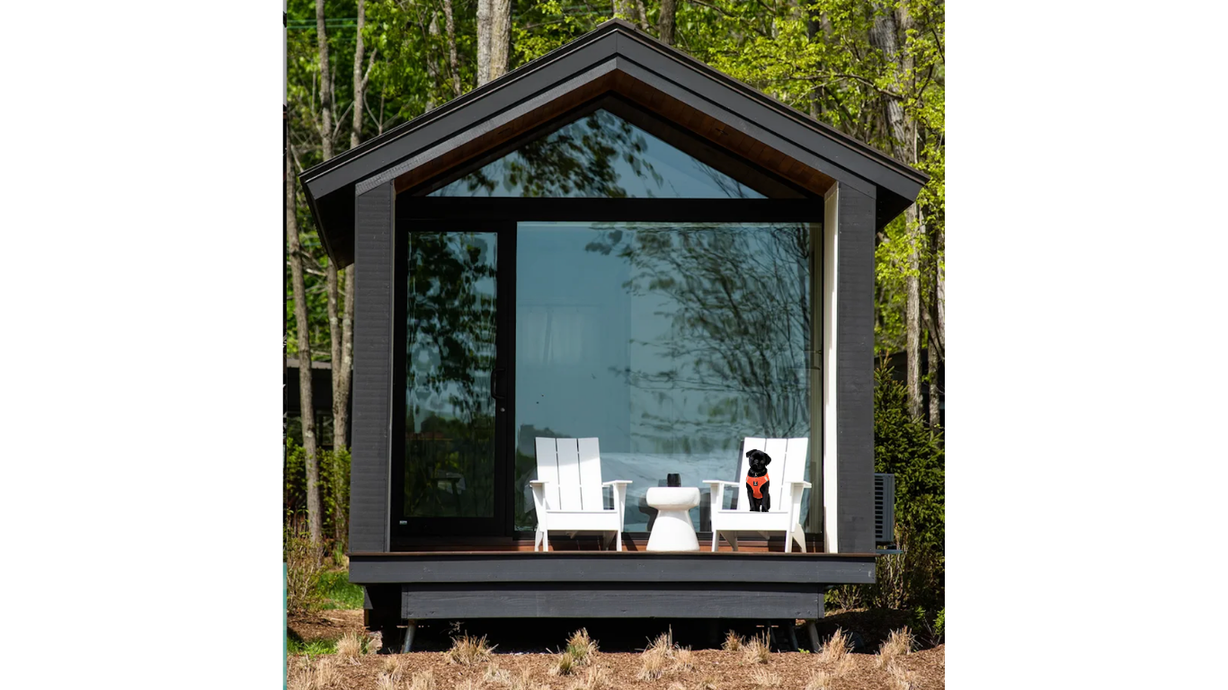 Untitled design (40).png