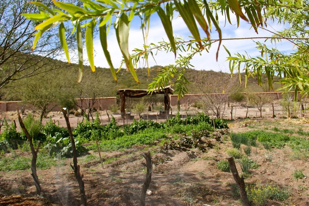 Visit Mission Garden