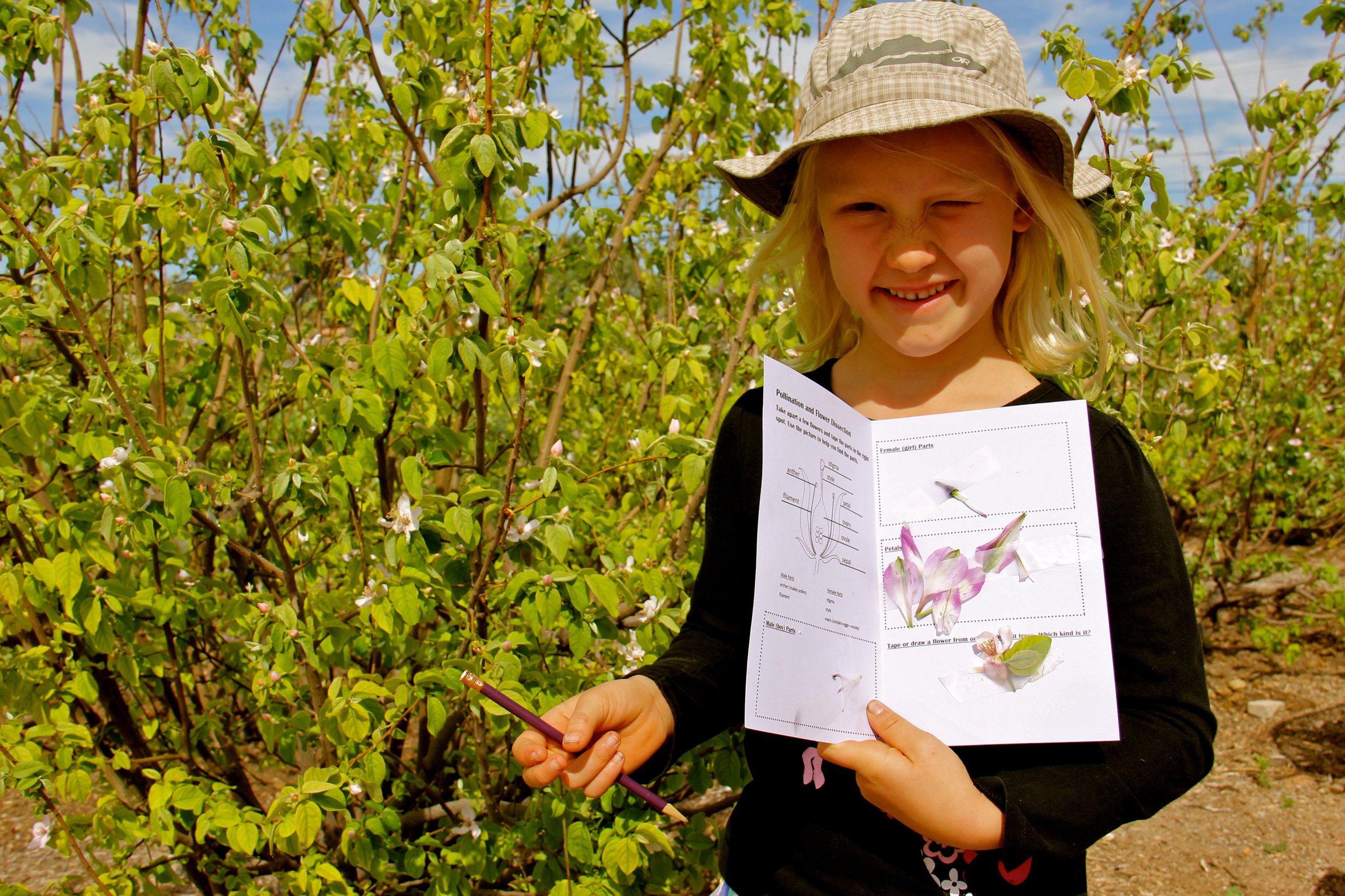 2015 March 7 Educational program pollination children students orchard (Dena).jpg