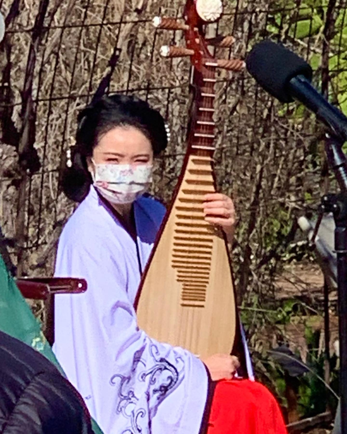 2022 Feb 5-Lunar New Year-Chinese musician and instrument.jpg (RP).jpg