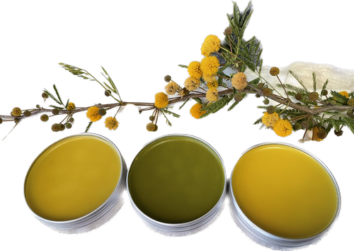 Making an Herbal Healing Salve  Mission Garden