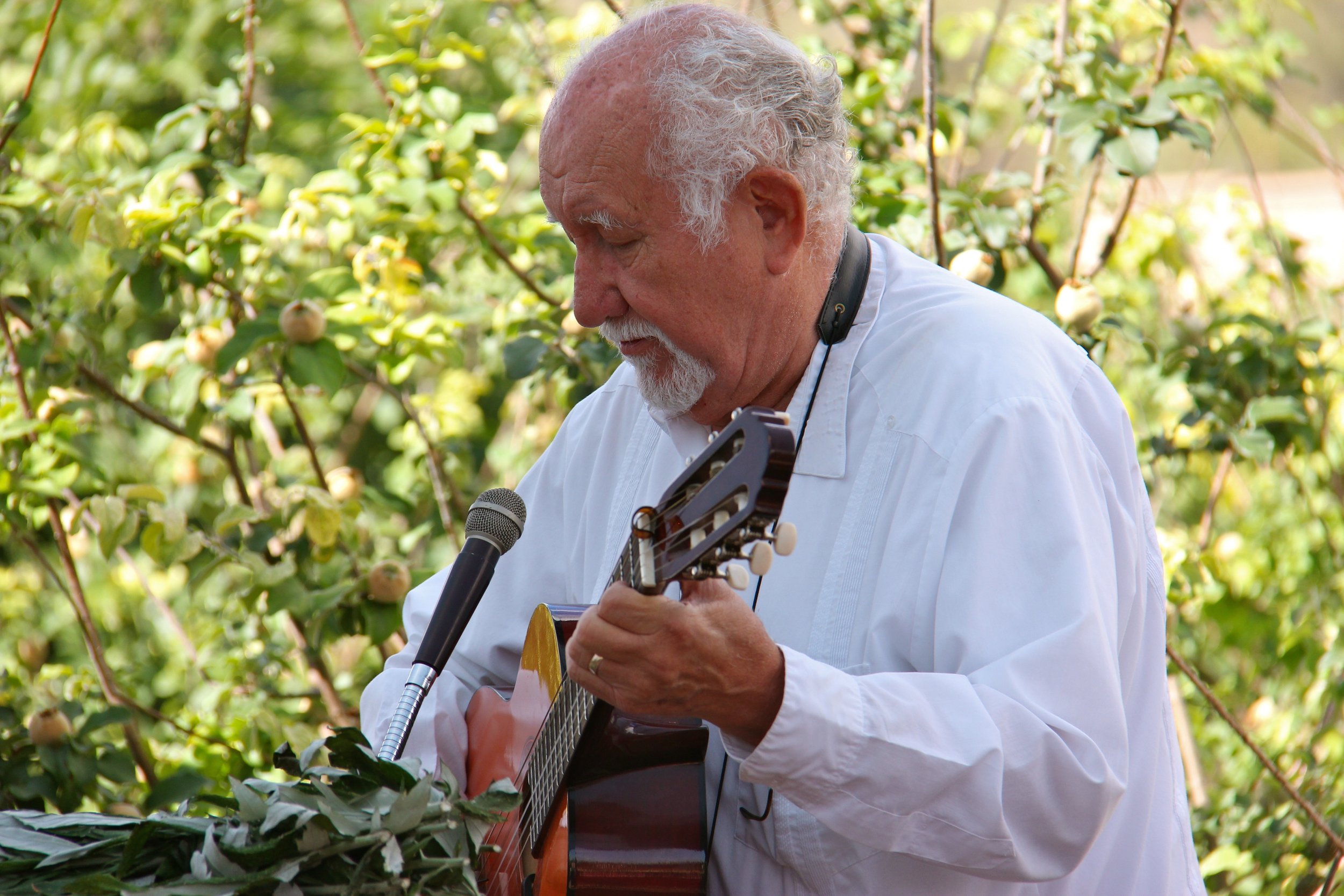 2015 May 16 San Ysidro festival Bobby Benton playing (Dena) (1).jpg