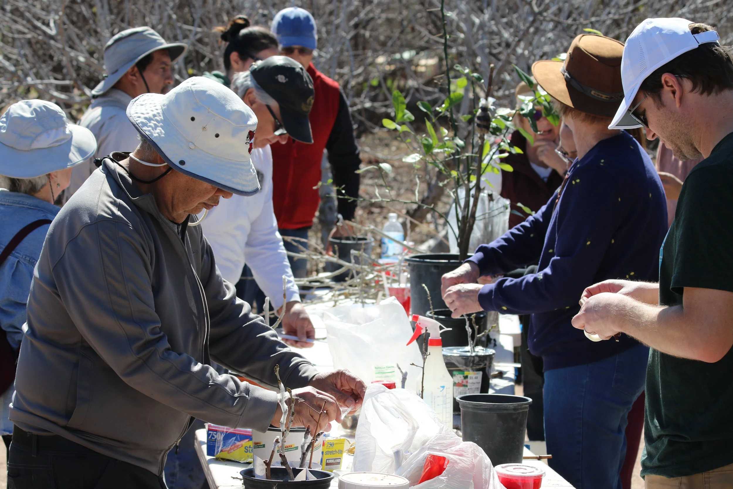 Heritage Fruit Trees and Backyard Propagation Workshop