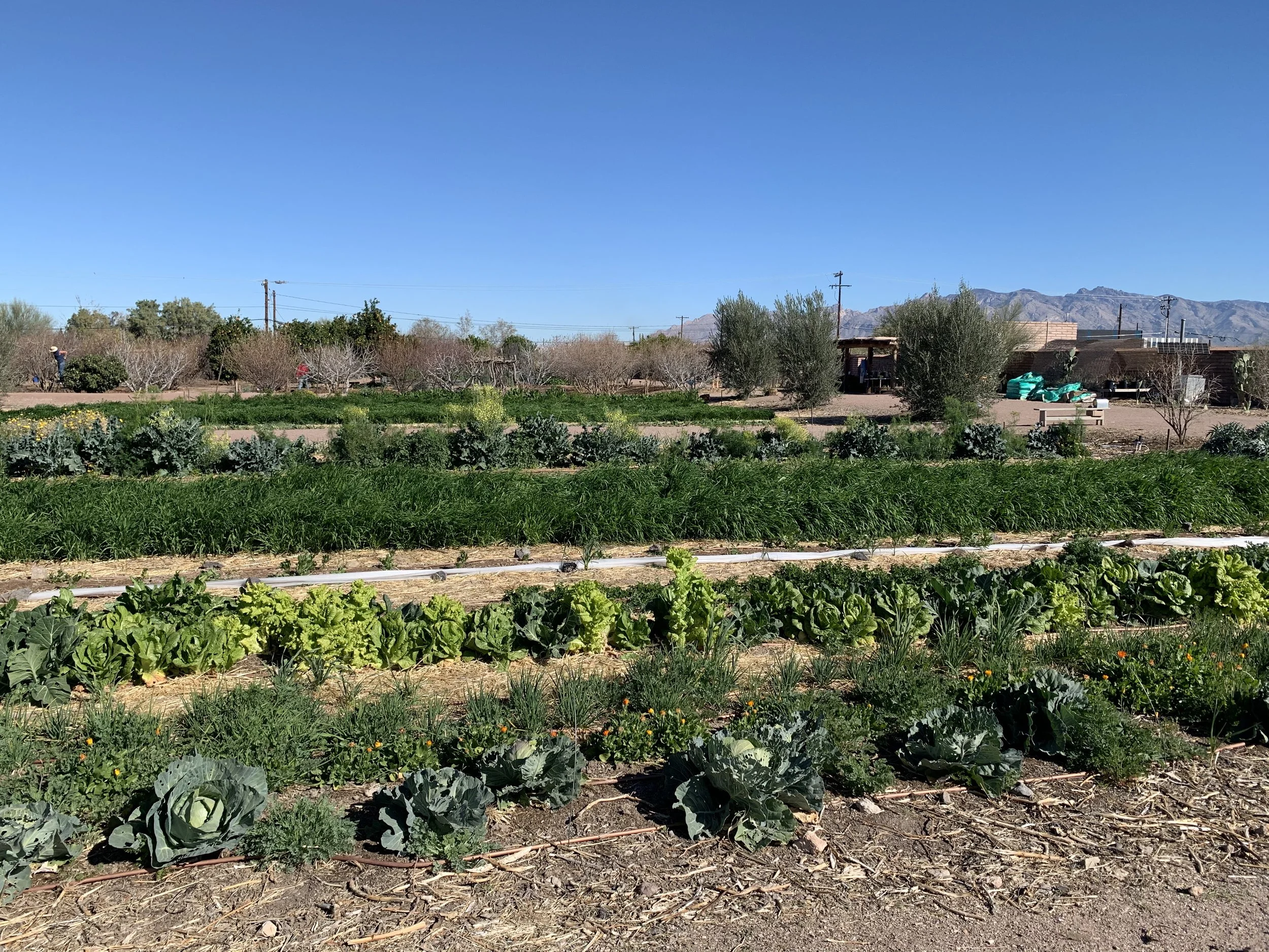 Gifting to Mission Garden — Mission Garden