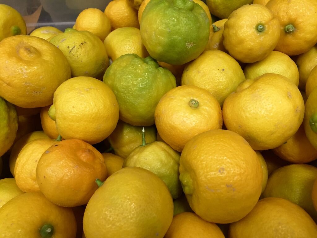 Sweet limes.jpg