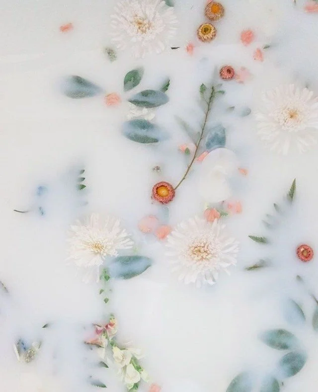 The Importance of Conscious Conception — Ayurveda Mama Box