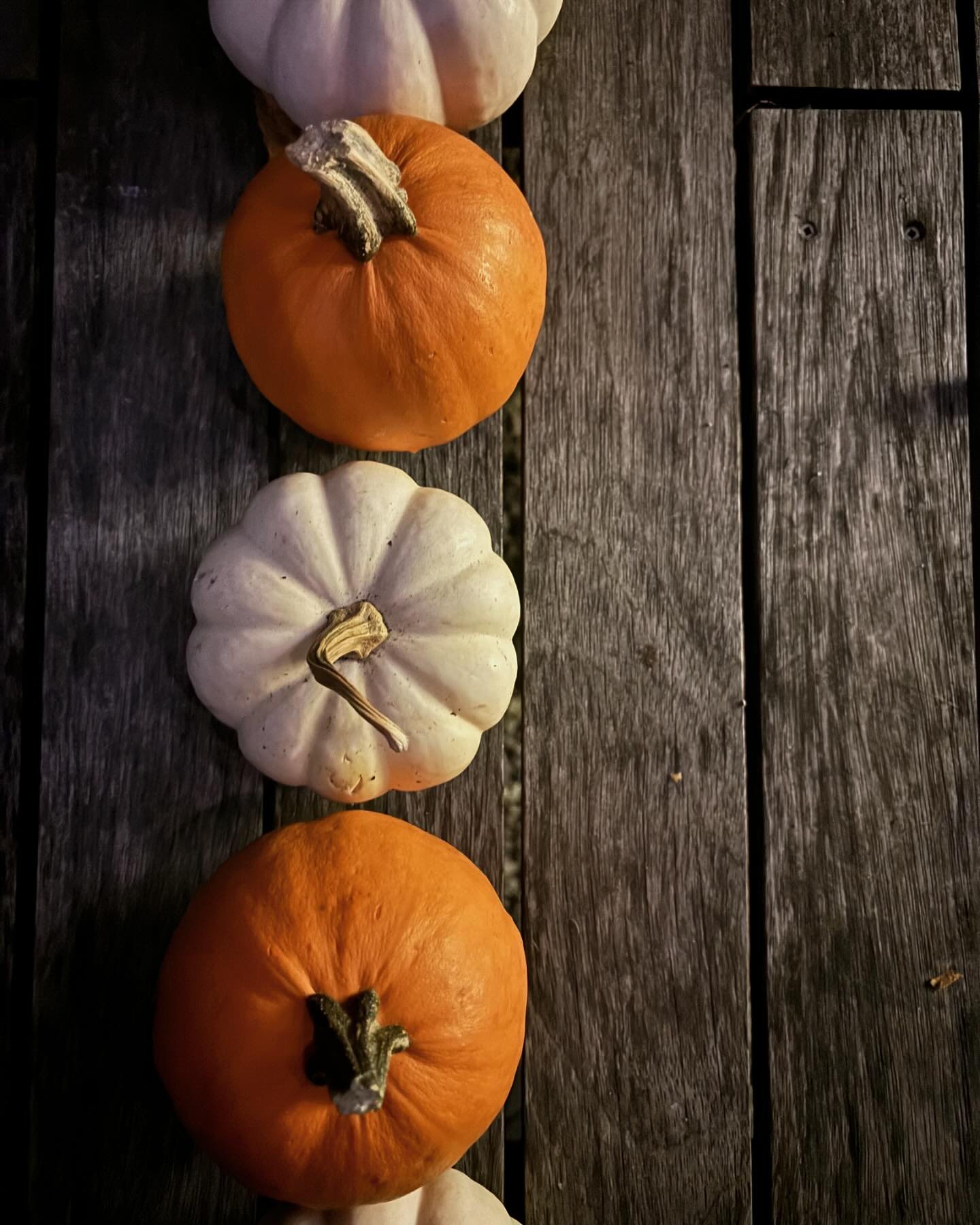 &ldquo;Notice that autumn is more the season of the soul than of nature.&rdquo;

&mdash; Friedruch Nietzsche