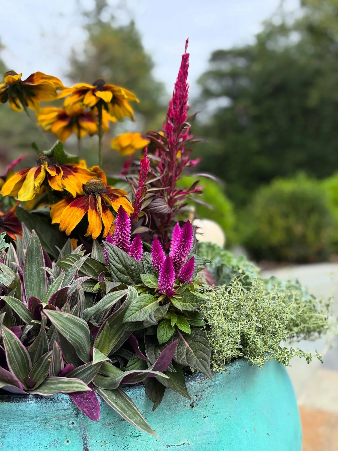 Fall is all about celebrating the abundance of the harvest. As we bid farewell to summer&rsquo;s bright tones, we welcome autumn&rsquo;s rich textures and deep, saturated hues. Each design captures the warmth and beauty of the season, transforming ou