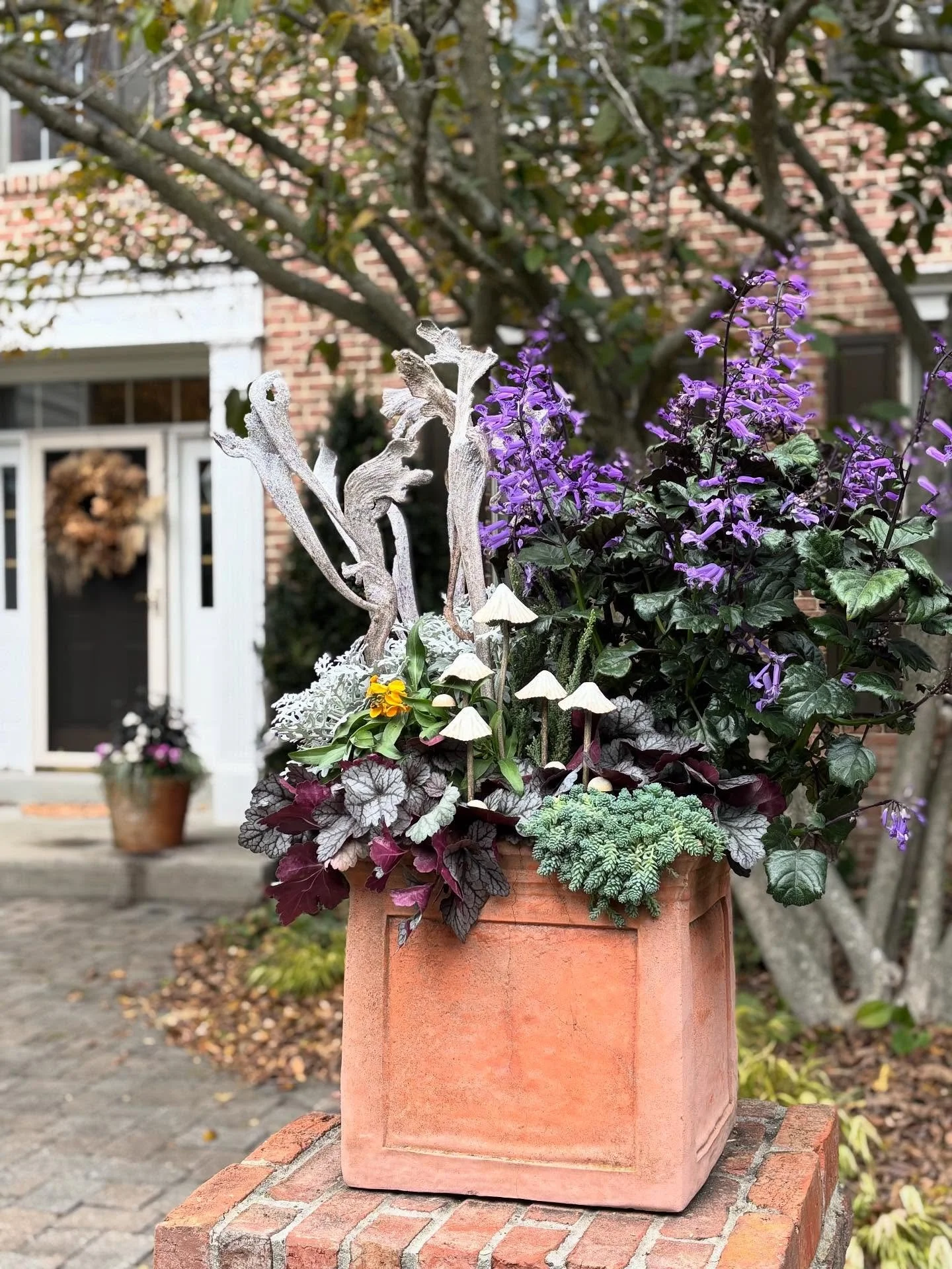 Designing for another designer? No pressure, right? 😅
Pretty happy with how these came together! 
Huge thanks to @steele_orchid (go follow her &mdash; she&rsquo;s insanely talented!) and to Sherrerd for the trust and collaboration. ✨