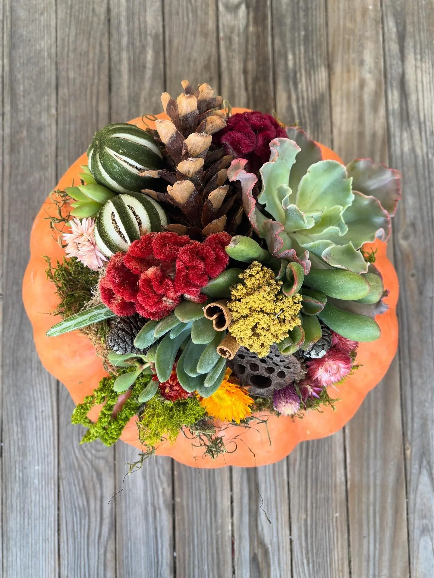 Come visit us this Sunday, 11am-4pm for @mainlineartcenter HOLIDAY MARKET.
With over 30 local artists selling handmade, one-of-a-kind gifts, you&rsquo;ll get a head start on your holiday gift list.
It&rsquo;s one of my favorite events of the year &md