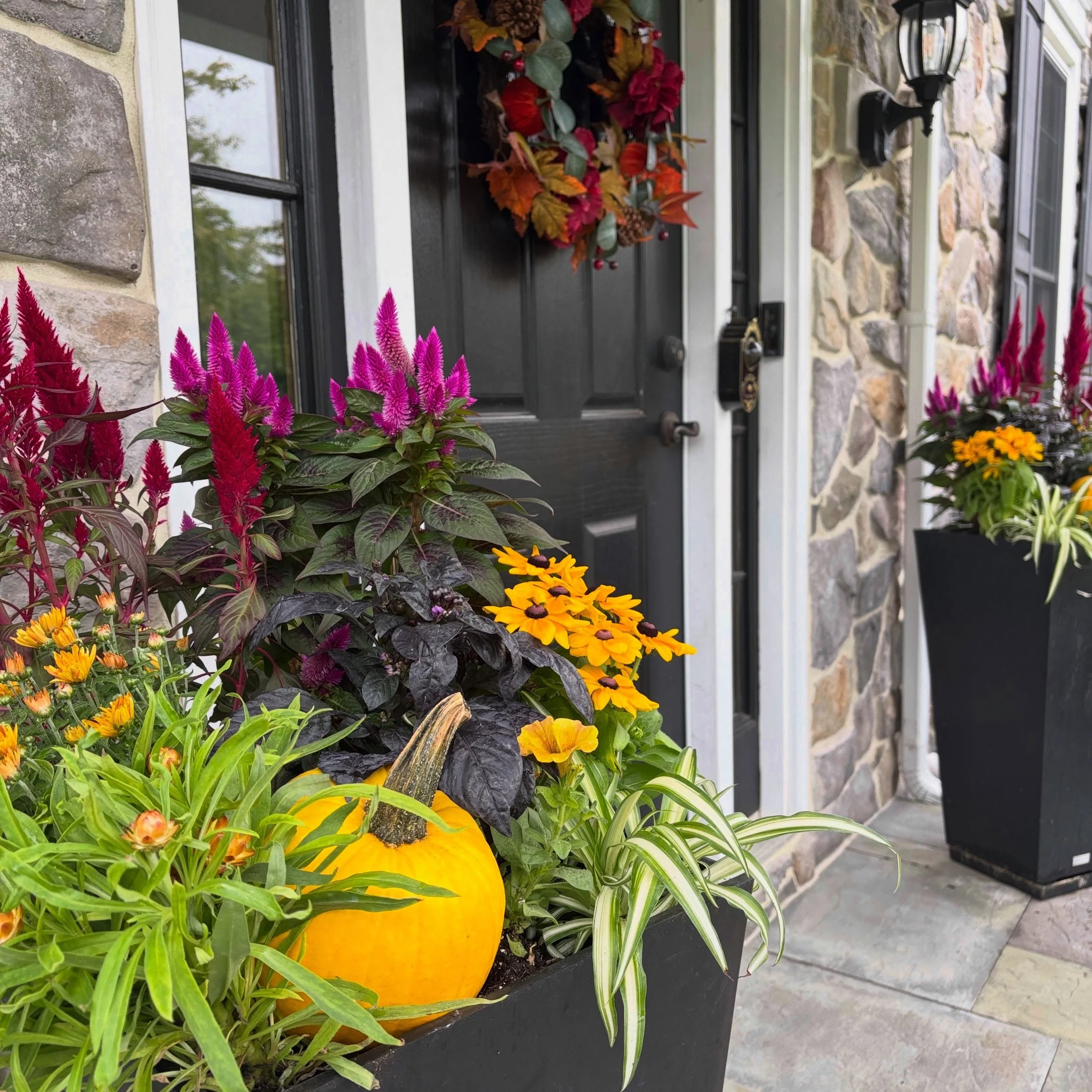 Why we hunted down matching yellow heirloom pumpkins&hellip; 

Good design is in the details, but great design is in the details tailored just for you. 🌿✨ 
When you work with Fresh Look Design, your doorstep isn&rsquo;t just a project on a calendar&