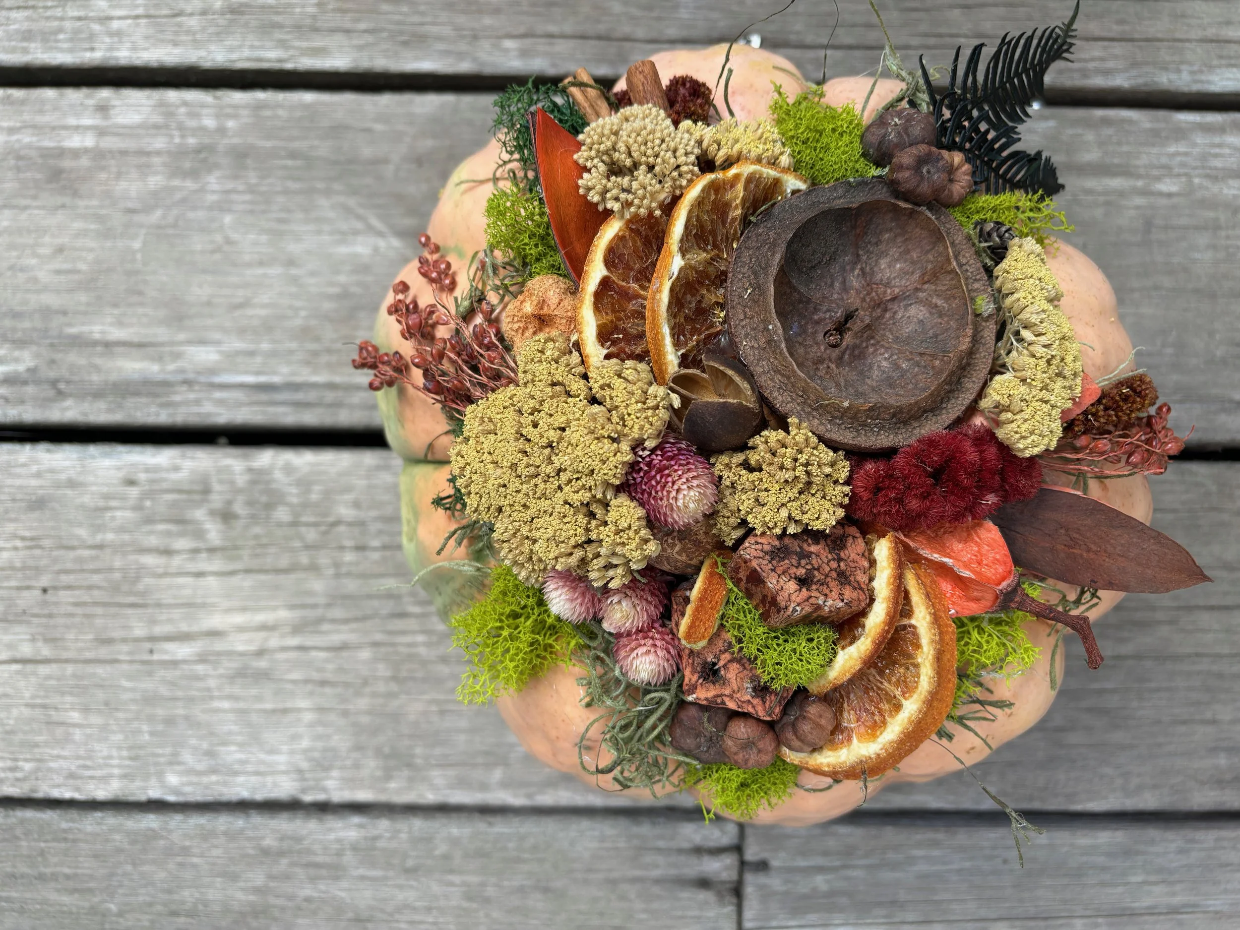 Succulent Pumpkin Centerpiece Workshop