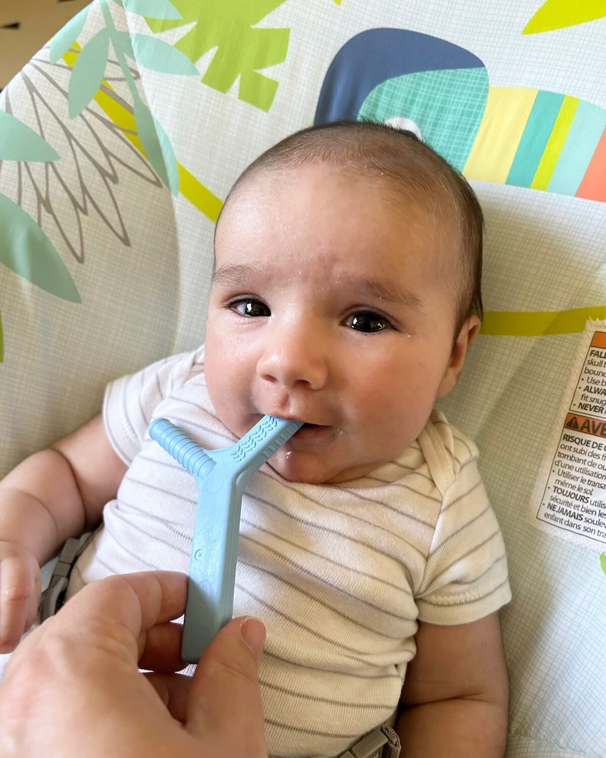 Start offering teethers to baby BEFORE 5-6 months of age for oral exploration, exposing to different textures, and getting their mouth ready for solids! 

Baby is using the Y- chew from @arktherapeutic #notsponsored

#pediatrictherapy #occupationalth