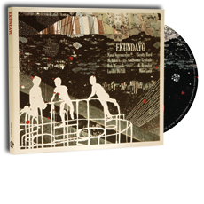 Ekundayo - Ekundayo (Ropeadope, 2011)