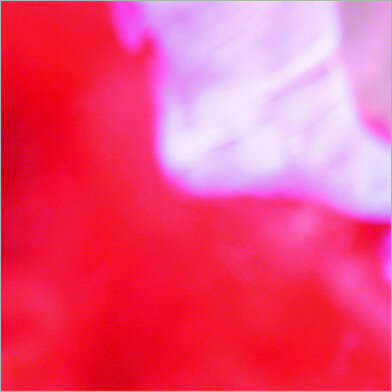Tigersmilk - Tigersmilk (Family Vineyard, 2003)
