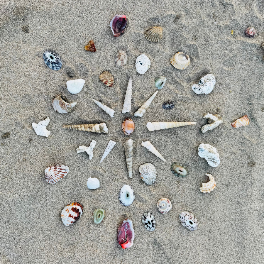 Plant Medicine Retreat Costa Rica