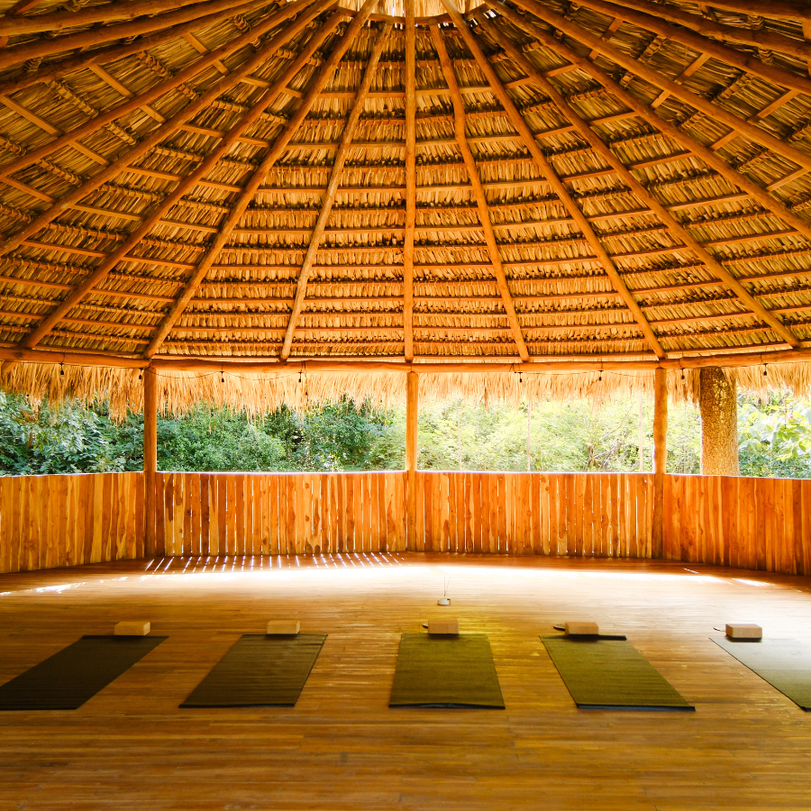 Plant Medicine Retreat Costa Rica