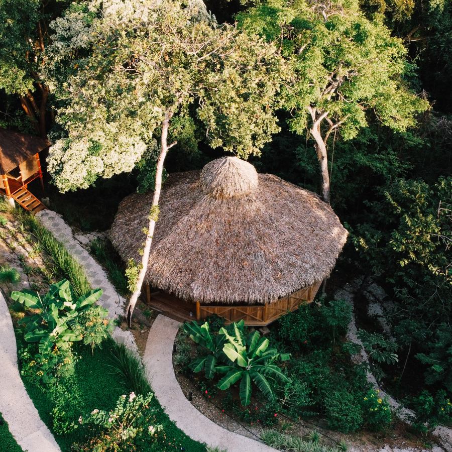 Plant Medicine Retreat Costa Rica
