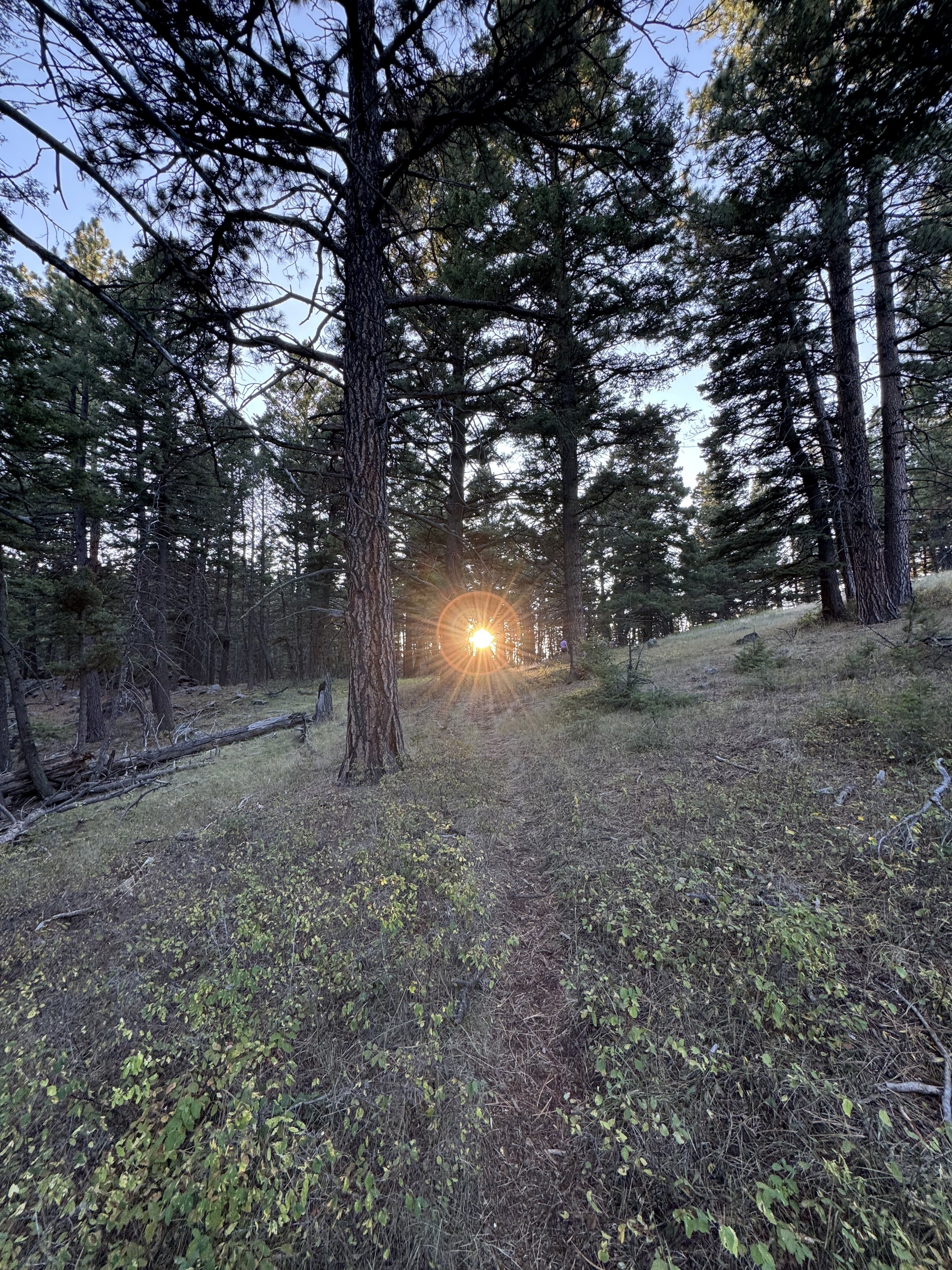 Montana Retreat
