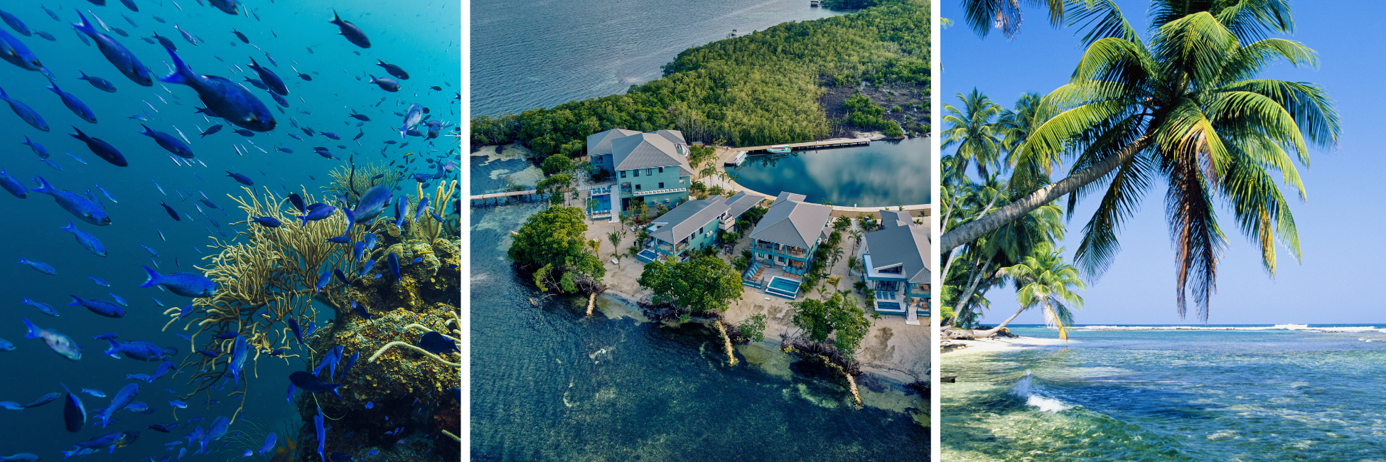 Meditation Retreat Belize