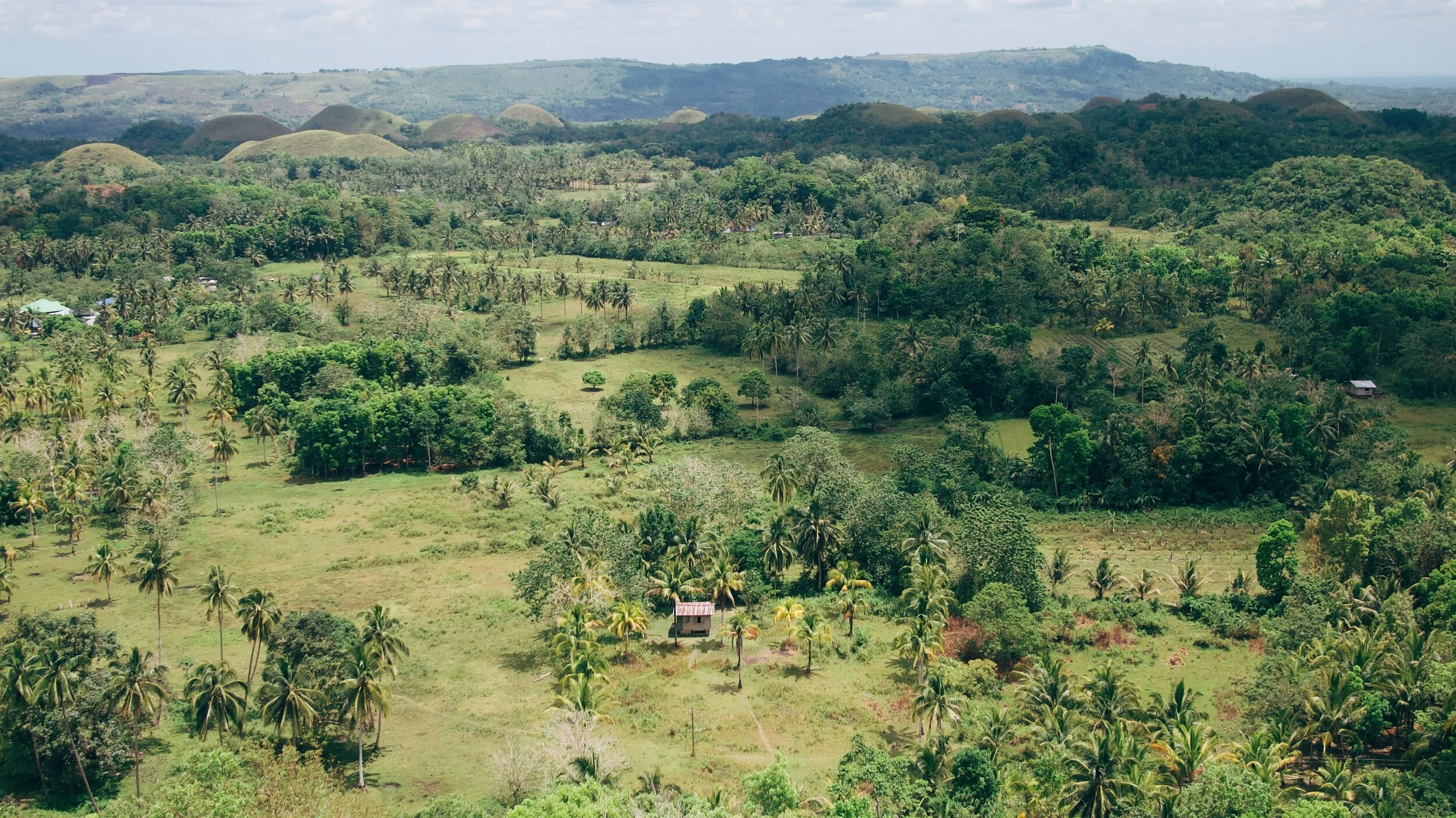 8AB4ABAB-E90A-4FEC-A463-DA403DE0F3AB-BD3BA8E3-12DD-4DAB-9E6A-F10EE4B874E5 2.JPG