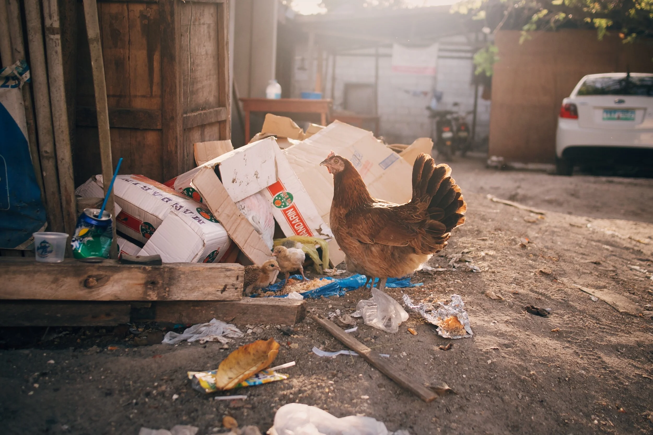 BFB3493C-855F-48E3-A4E7-D229D1444EC1-424C562B-9A2C-43BC-AE65-9E187791C22E 2.JPG