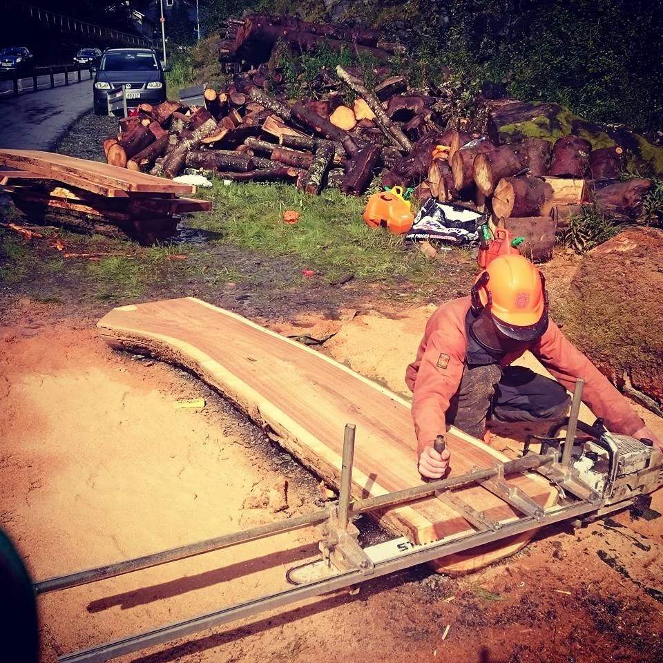  Vi prøver å ta vare på ressursene. Her lager vi planker av et stort almetre.  