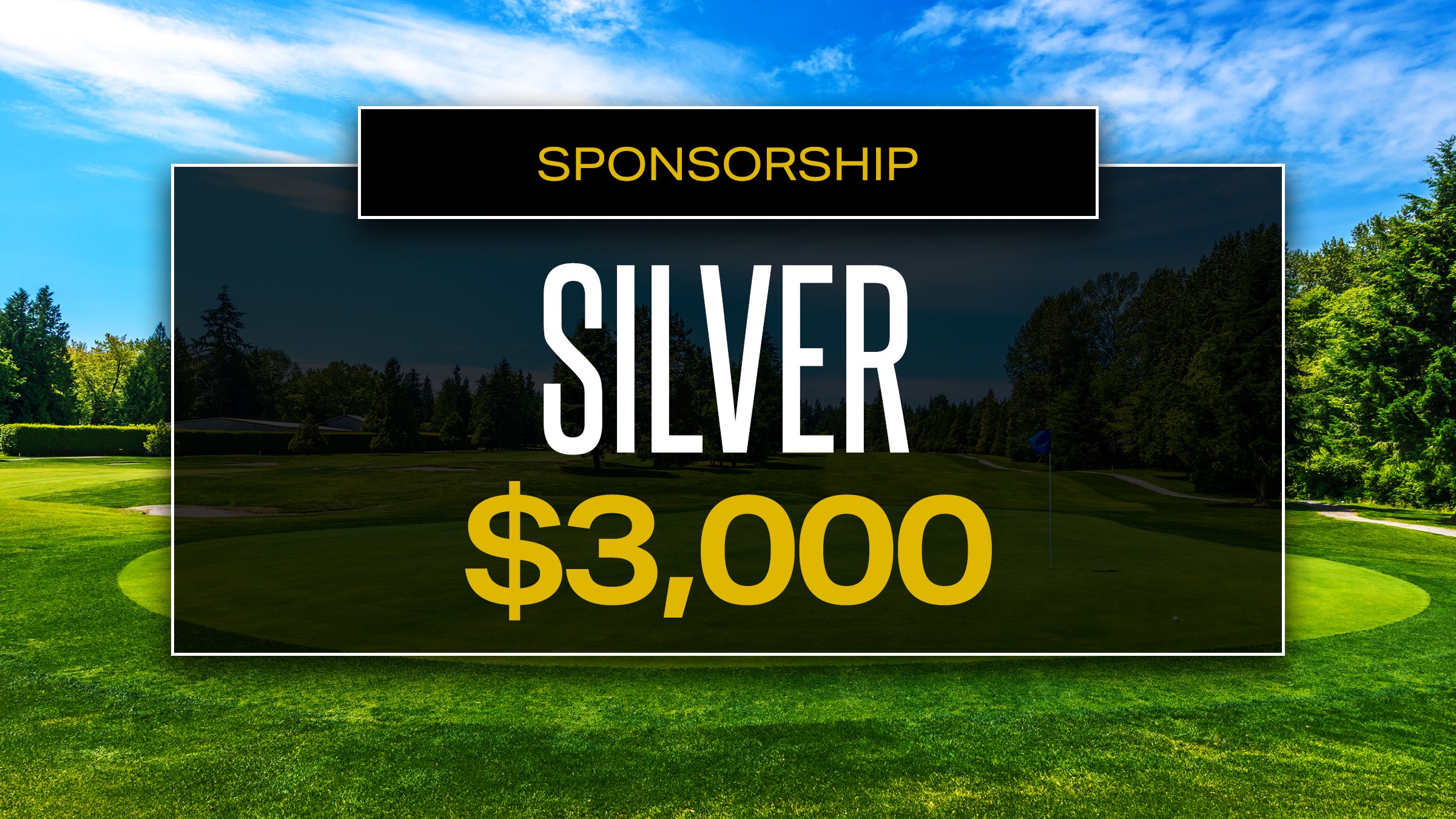 Silver Sponsorship