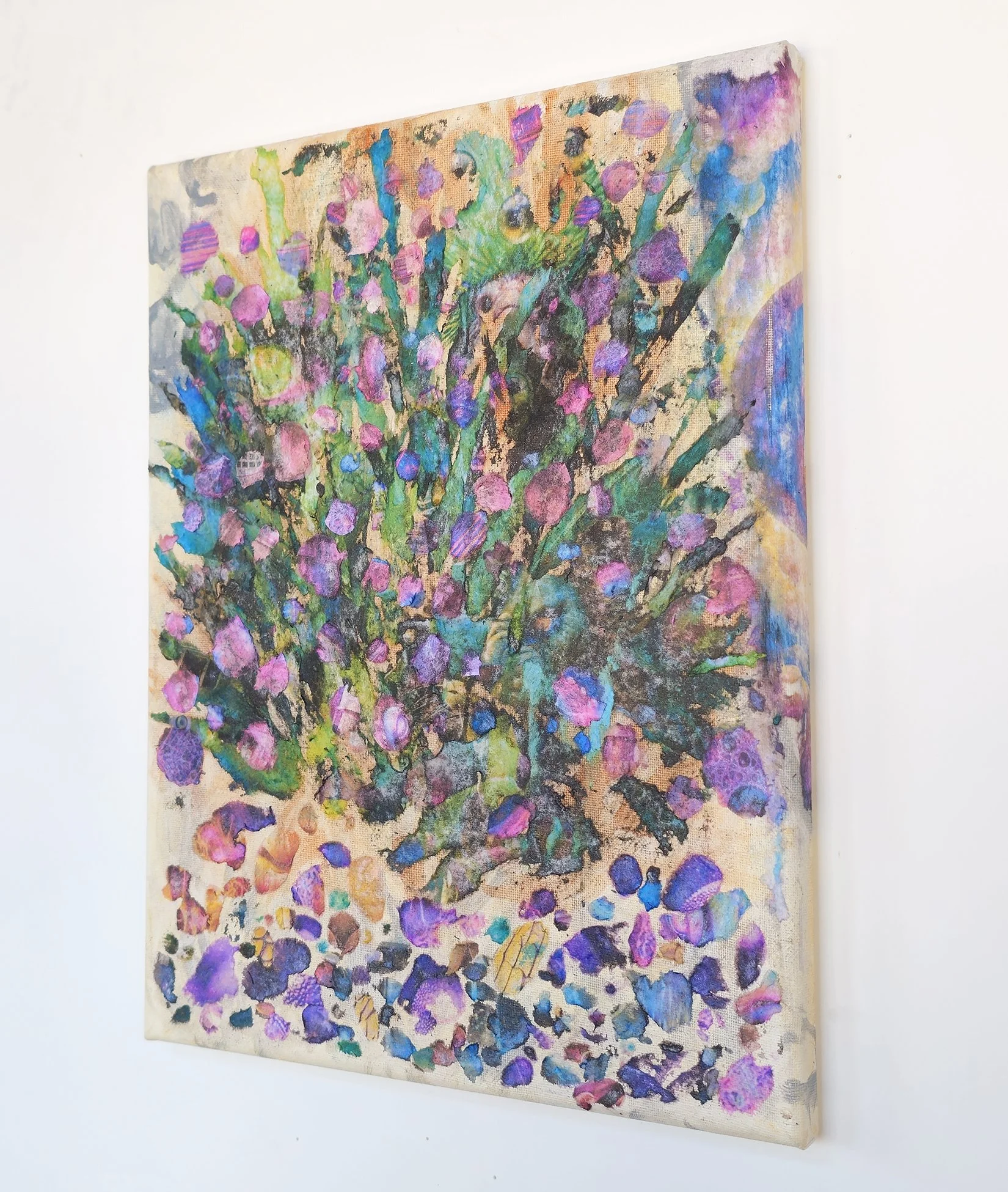 Brandon Barr_ Centaurea_2.jpg
