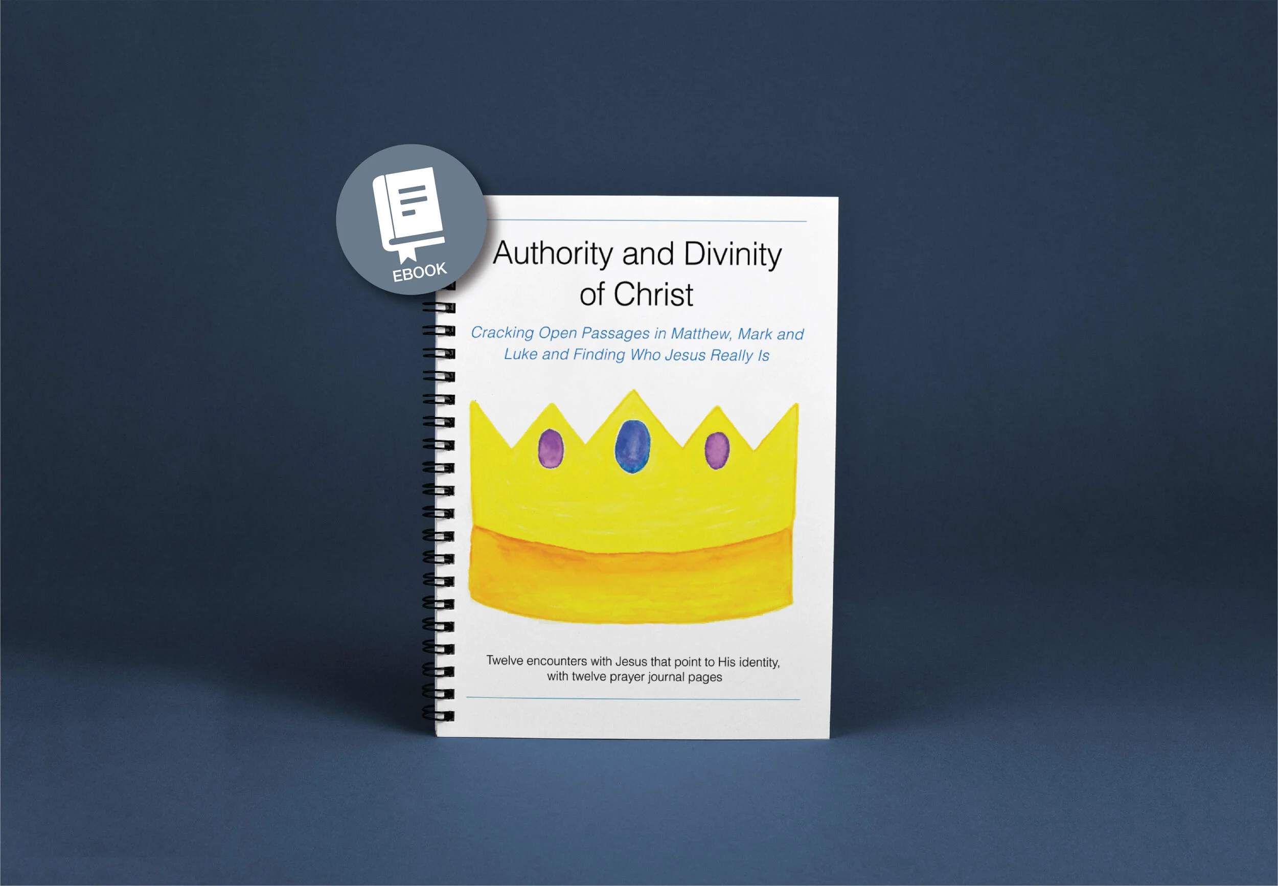 EBOOK: Authority and Divinity of Christ: Cracking Open Passages in Matthew, Mark and Luke and Finding Who Jesus Really Is.