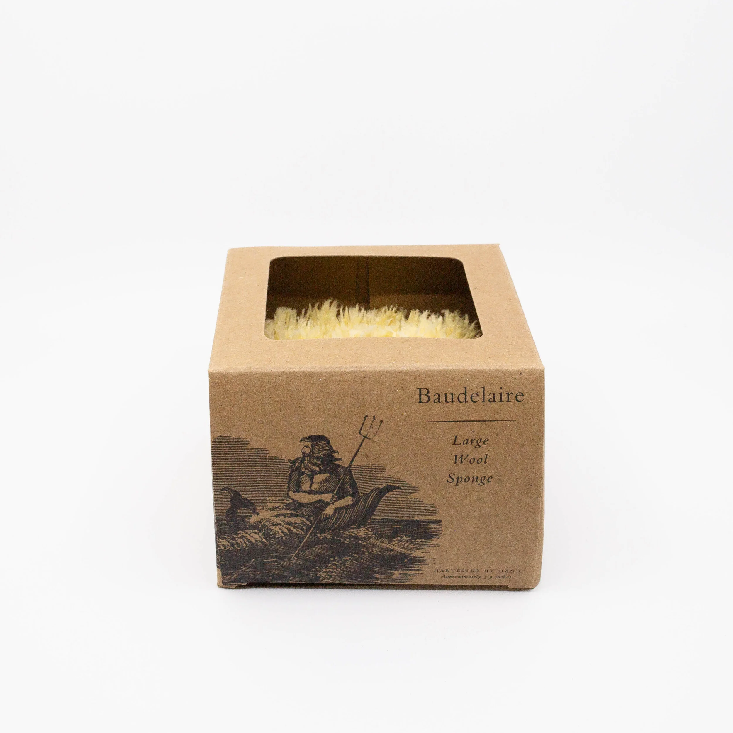 baudelaire-wool-sponge.jpg