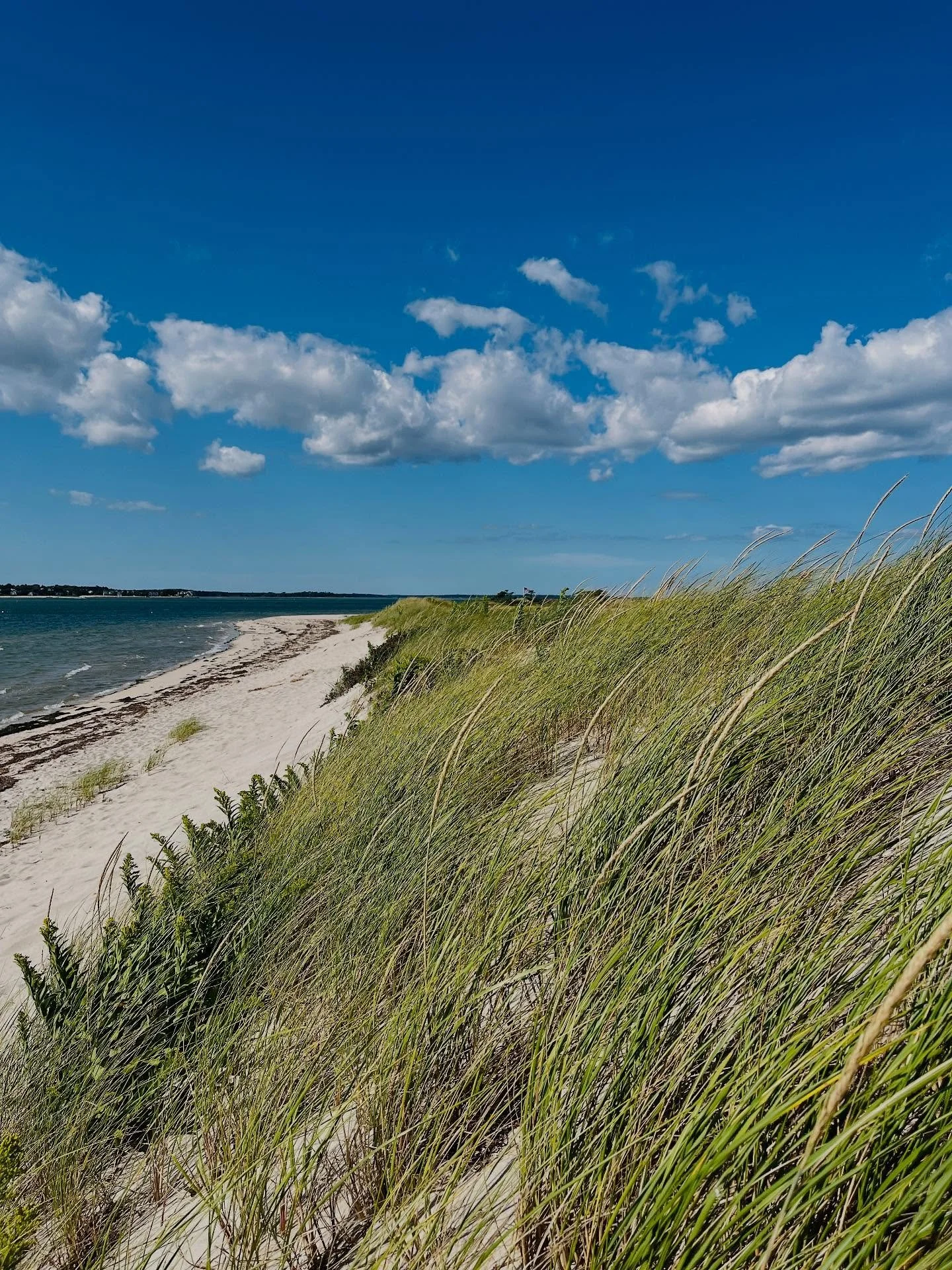 Sweet September, you&rsquo;ve arrived. High season may have come to a close but there are still 21 glorious days of summer left to enjoy. We are taking a break to sink into the season and will return on the 12th. Thanks for another fabulous year on t