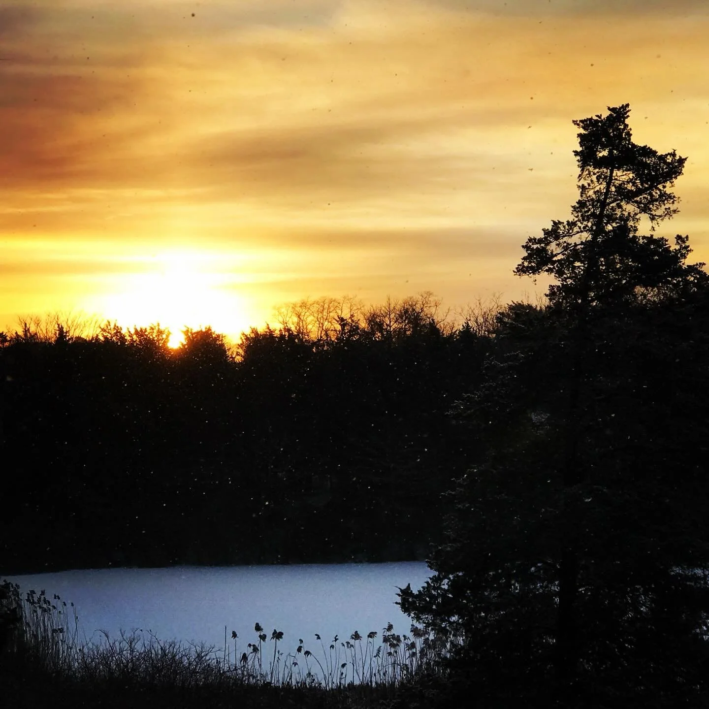 We are at the shop today but will be leaving a little early to prepare for Snowmageddon tomorrow. Stay safe and warm, avoid the roads and don&rsquo;t forget to check on your older neighbors &mdash; or anyone that might need some help. 🩷❄️