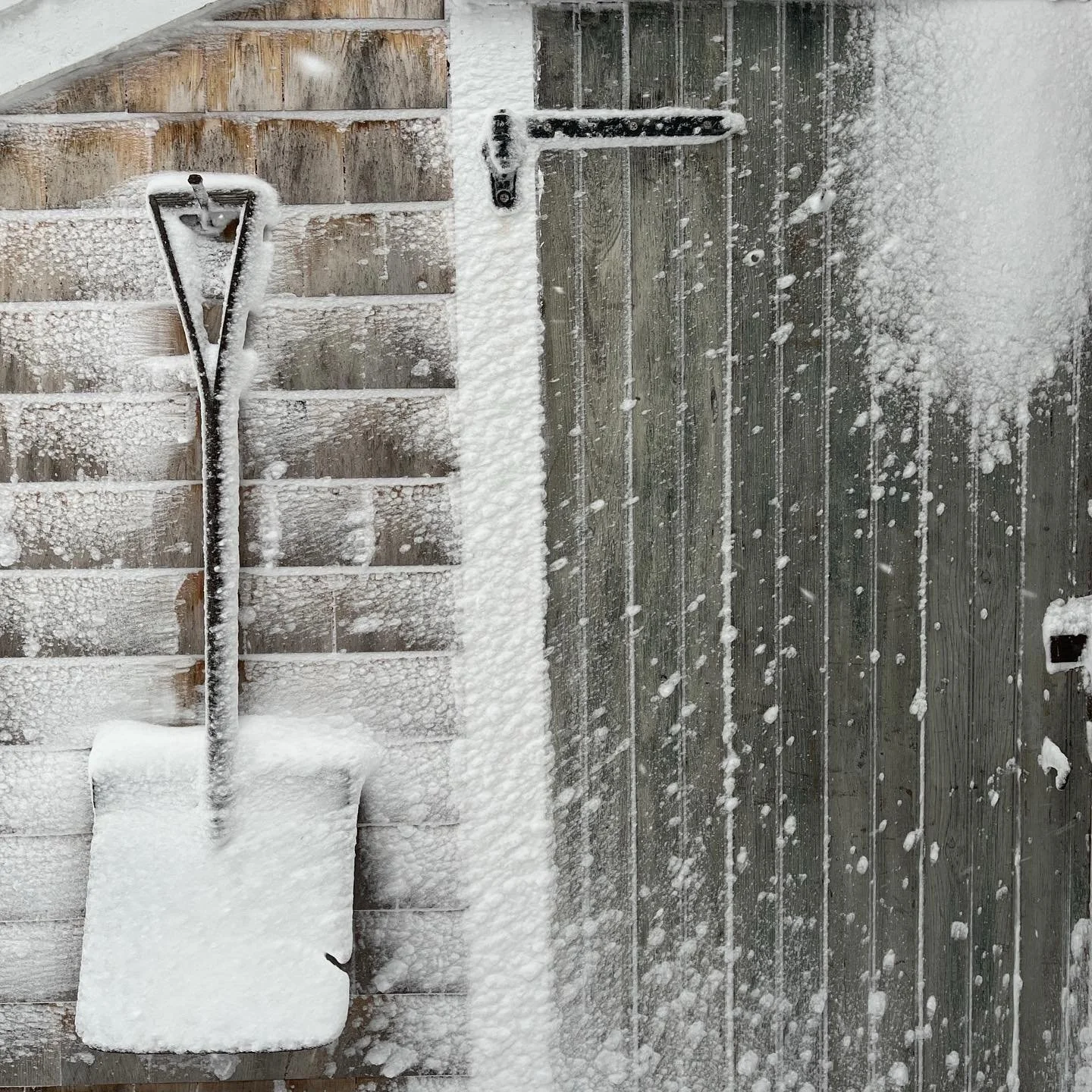 Batten down the hatches and stock up on your skincare! Shop is open 11-5 today! 🩷
