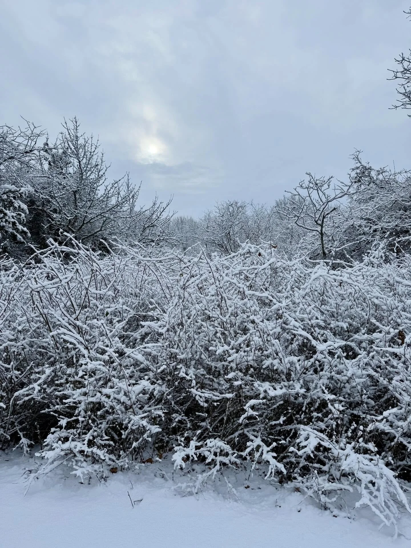 Happy New Year, everybody! What a glorious day it was here on Cape Cod. We&rsquo;ll be reopening tomorrow after a lovely (and busy!) holiday break. Come and see us &mdash; and don&rsquo;t forget to book your post holiday facial! 🩷