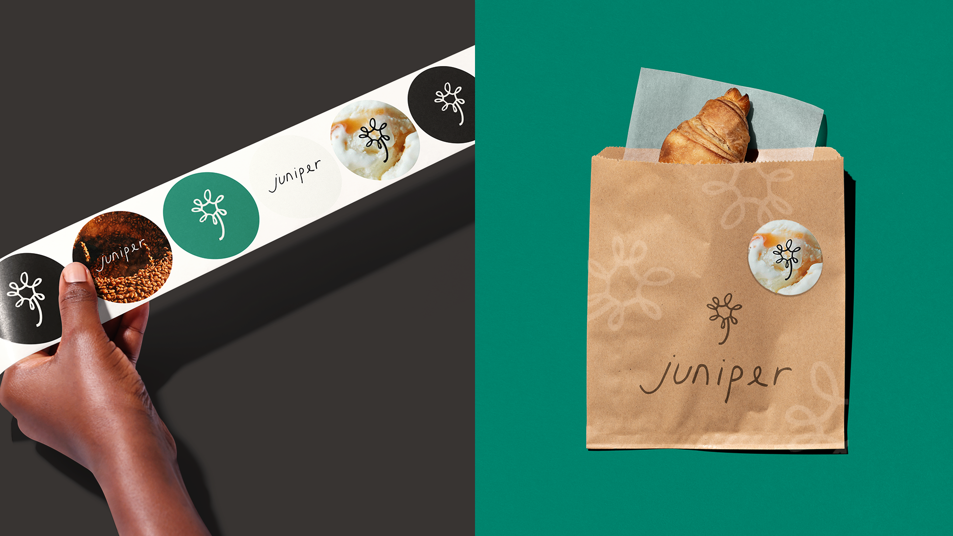 Juniper Brand Identity — Megan Landro Art & Design